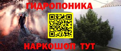 мяу мяу мука Жуковский