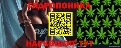 мяу мяу мука Жуковский
