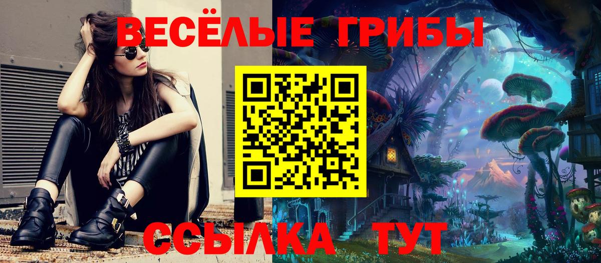 Псилоцибиновые грибы мухоморы  Вход с VPN  Менделеевск 