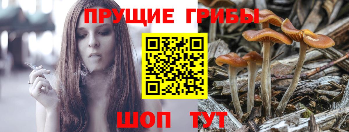 Галлюциногенные грибы мухоморы Менделеевск